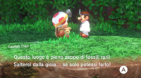 Capitan-Toad-Cascate.png