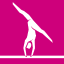 M&S2012-icona-Ginnastica.png