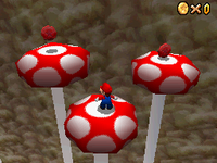 SM64DS-Monete-rosse-e-funghi-spaventosi.png