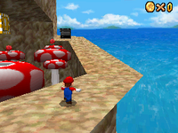 SM64DS-Una-montagna-da scalare.png