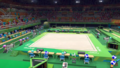 M&SGOR-Arena-Olimpica-di-Rio.png