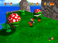 SM64-Fai-fuori-i-Fiori-Piranha.png