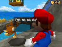 SM64DS-Il-segreto-della-gabbia.png