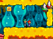 Le fagiolbuche nell'Apparato Traslucido in Mario & Luigi: Viaggio al centro di Bowser e in Mario & Luigi: Viaggio al centro di Bowser + Le avventure di Bowser Junior