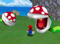 SM64DS-Fai-fuori-i-Fiori-Piranha.png